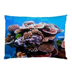 Coral Outcrop 2 Pillow Cases by trendistuff