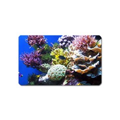 Coral Outcrop 1 Magnet (name Card) by trendistuff