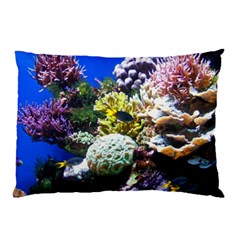 Coral Outcrop 1 Pillow Cases by trendistuff