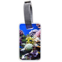 Coral Outcrop 1 Luggage Tags (one Side)  by trendistuff