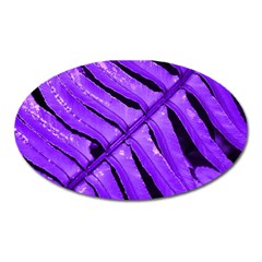 Purple Fern Oval Magnet