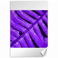 Purple Fern Canvas 24  x 36 