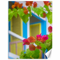 Colored Flowers In Front Ot Windows House Print Canvas 36  X 48   by dflcprints