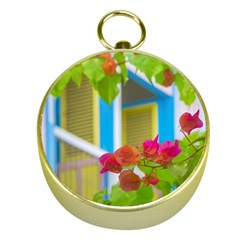 Colored Flowers In Front Ot Windows House Print Gold Compasses by dflcprints