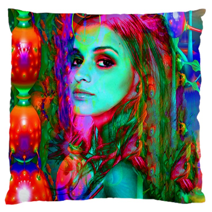 Alice In Wonderland Standard Flano Cushion Cases (Two Sides) 