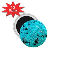 Aquamarine Collection 1 75  Magnets (10 Pack) 