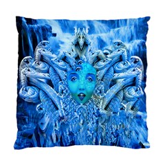 Medusa Metamorphosis Standard Cushion Case (two Sides) by icarusismartdesigns