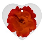 Red Rose Photo Ornament (Heart)  Front