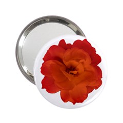 Red Rose Photo 2 25  Handbag Mirrors by dflcprints