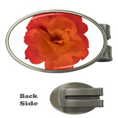 Red Rose Photo Money Clips (oval)  by dflcprints