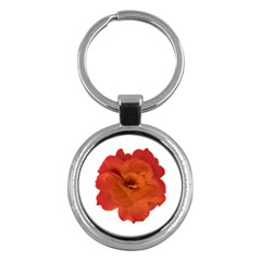 Red Rose Photo Key Chains (round)  by dflcprints