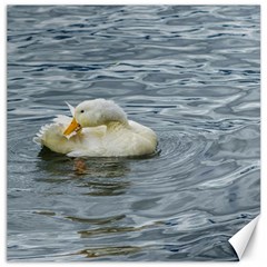 White Duck Preening At Lake Print Canvas 20  X 20  