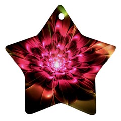 Red Peony Ornament (star)  by Delasel