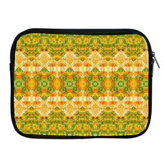 Boho Stylized Floral Stripes Apple Ipad 2/3/4 Zipper Cases by dflcprints