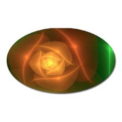 Orange Rose Oval Magnet by Delasel
