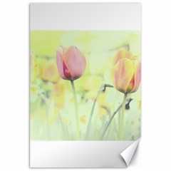 Softness Of Spring Canvas 20  X 30   by TastefulDesigns