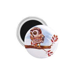 Owl 1 75  Magnets