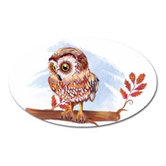 Owl Oval Magnet