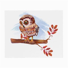 Owl Small Glasses Cloth (2-side)