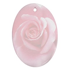 Pink White Love Rose Oval Ornament (two Sides) by yoursparklingshop