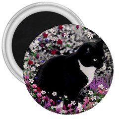 Freckles In Flowers Ii, Black White Tux Cat 3  Magnets by DianeClancy