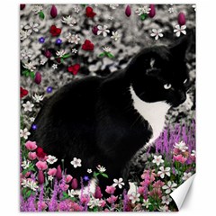 Freckles In Flowers Ii, Black White Tux Cat Canvas 20  X 24  