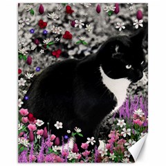 Freckles In Flowers Ii, Black White Tux Cat Canvas 11  x 14  