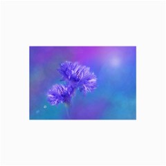 Purple Cornflower Floral  Collage 8  X 10  by yoursparklingshop