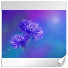 Purple Cornflower Floral  Canvas 12  X 12  