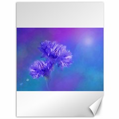 Purple Cornflower Floral  Canvas 36  X 48  