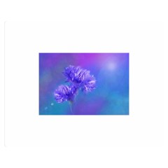 Purple Cornflower Floral  Double Sided Flano Blanket (medium) 