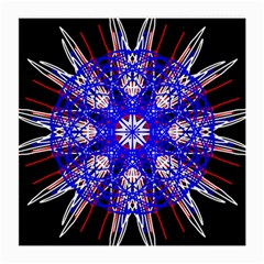Kaleidoscope Flower Mandala Art Black White Red Blue Medium Glasses Cloth
