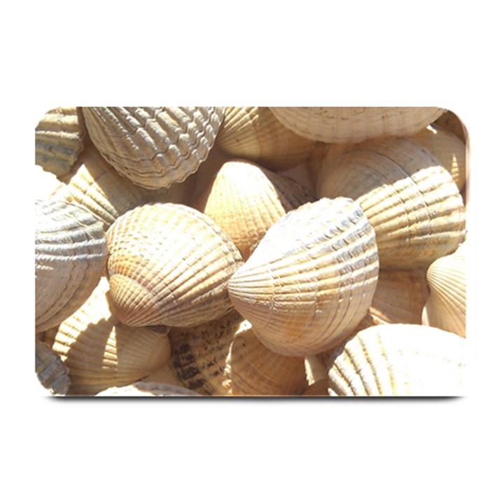 Tropical Exotic Sea Shells Plate Mats