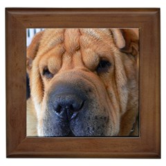 Shar Pei / Chinese Shar Pei Framed Tiles