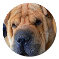 Shar Pei / Chinese Shar Pei Magnet 5  (Round)