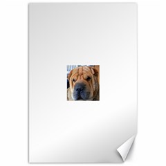 Shar Pei / Chinese Shar Pei Canvas 20  x 30  