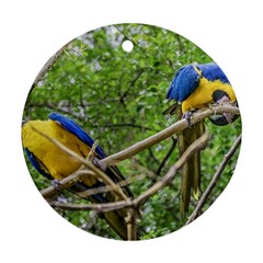 South American Couple Of Parrots Round Ornament (Two Sides) 