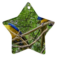 South American Couple Of Parrots Star Ornament (Two Sides) 