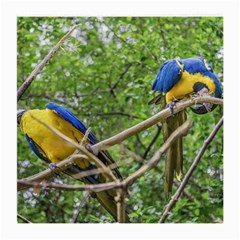 South American Couple Of Parrots Medium Glasses Cloth (2-Side)