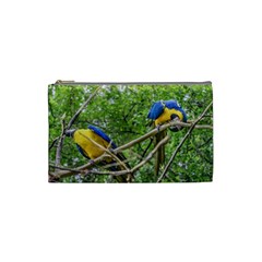 South American Couple Of Parrots Cosmetic Bag (Small) 