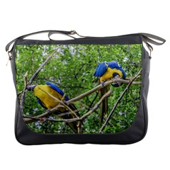 South American Couple Of Parrots Messenger Bags