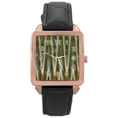 Green Brown Zigzag Rose Gold Leather Watch 