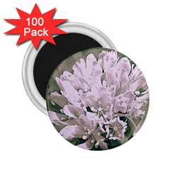 White Flower 2 25  Magnets (100 Pack) 