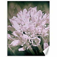 White Flower Canvas 12  X 16  