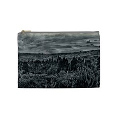 Ecuador Landscape Scene At Andes Range Cosmetic Bag (medium)  by dflcprints