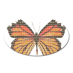 Butterfly Oval Magnet
