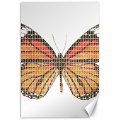 Butterfly Canvas 20  X 30  