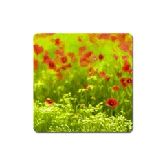 Poppy I Square Magnet by colorfulartwork