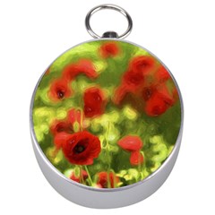 Poppy Vi Silver Compasses by colorfulartwork