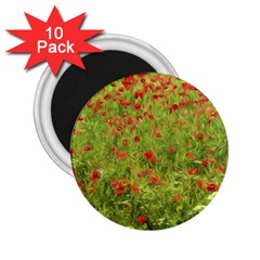 Poppy Vii 2 25  Magnets (10 Pack)  by colorfulartwork